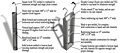 Features of Anode Basket